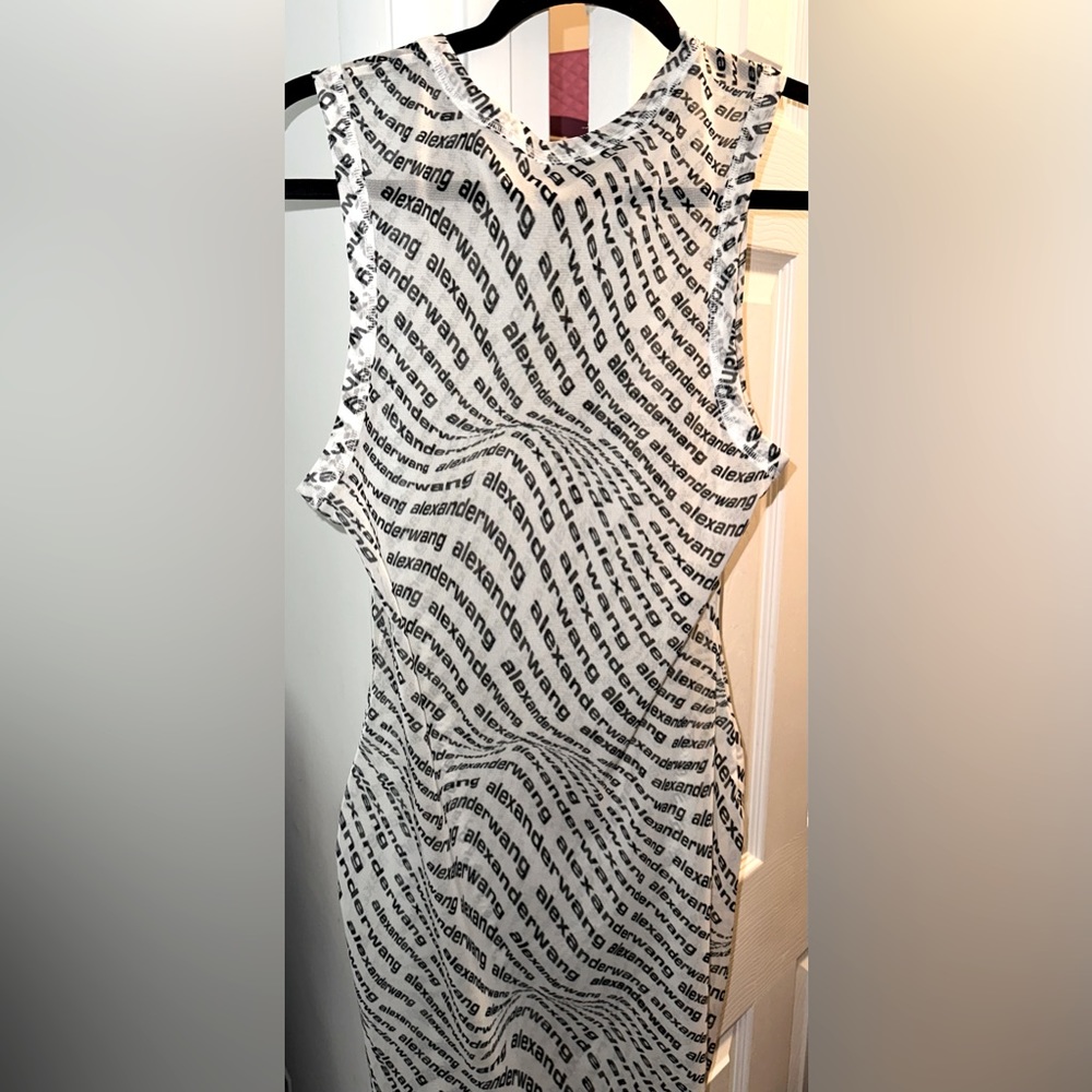 Alexander Wang Mesh Dress
